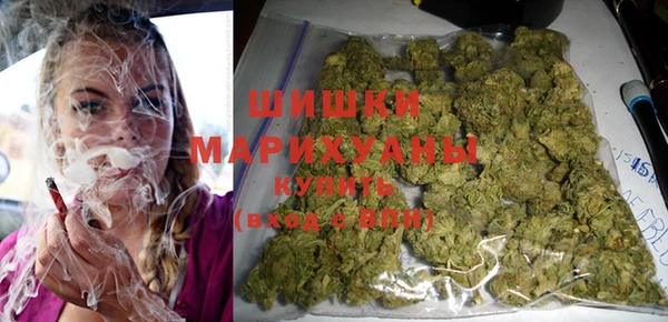 прущая мука Арсеньев