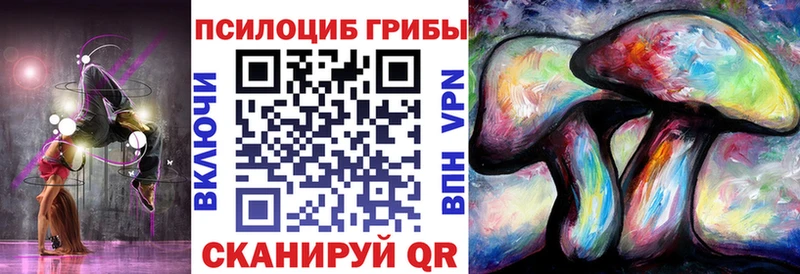 Галлюциногенные грибы Psilocybe  Полесск 